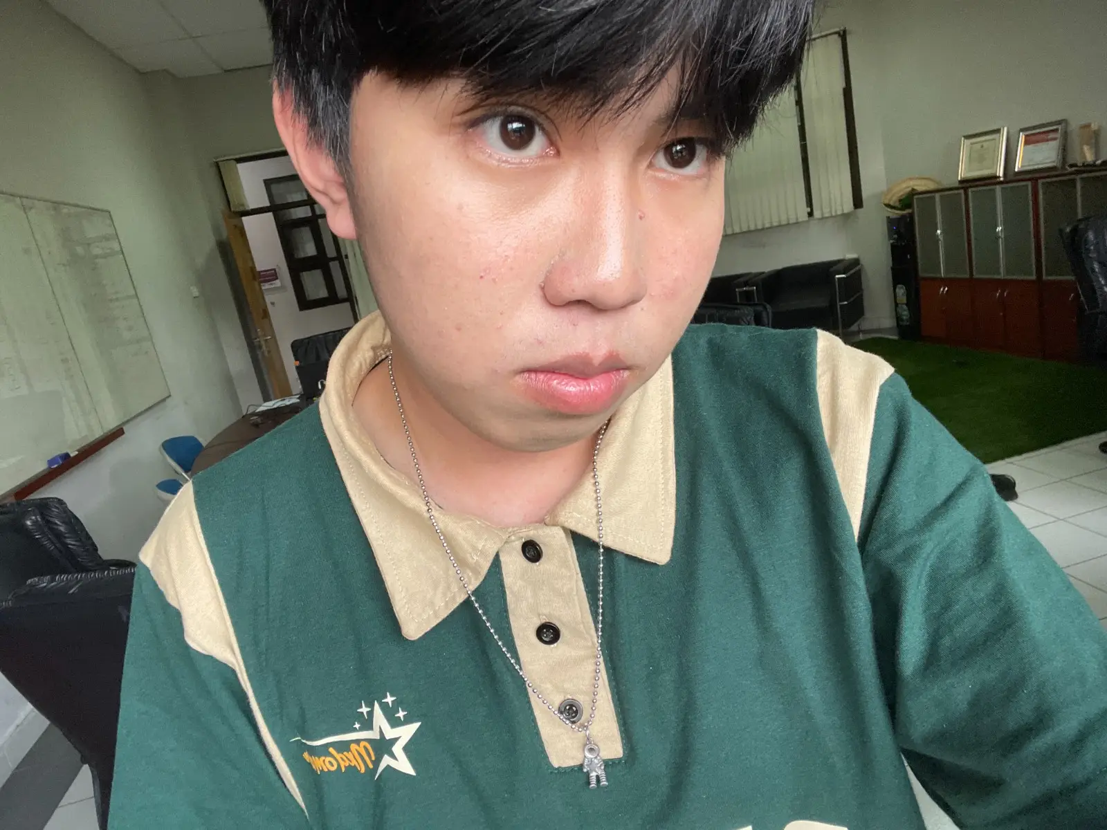 Muhammad Raditya Santosa